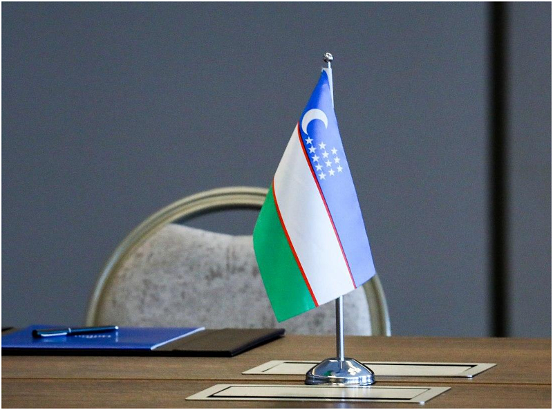 Resolution No. 244 of the Cabinet of Ministers dated April 19, 2025, on improving the procedure for the movement of certain types of goods across the customs border