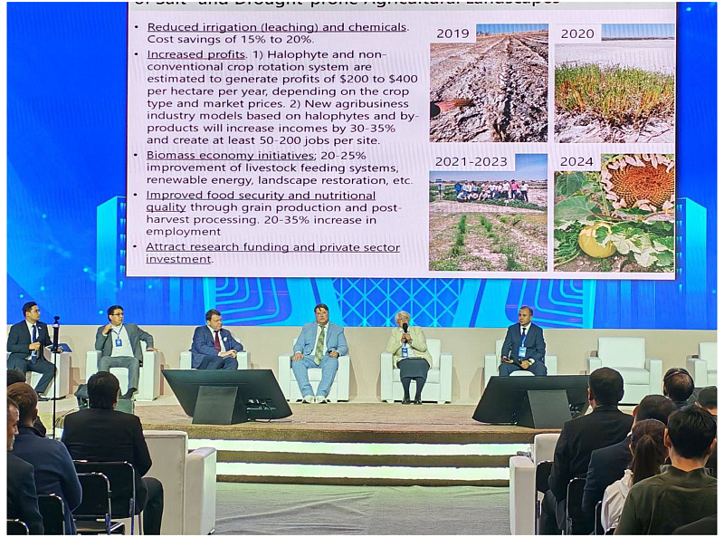 &quot;Ўзбекэкспертиза&quot; АЖ ходимлари &quot;InnoWeek-2025&quot;халқаро инновацион ғоялар ҳафталигида иштирок этдилар